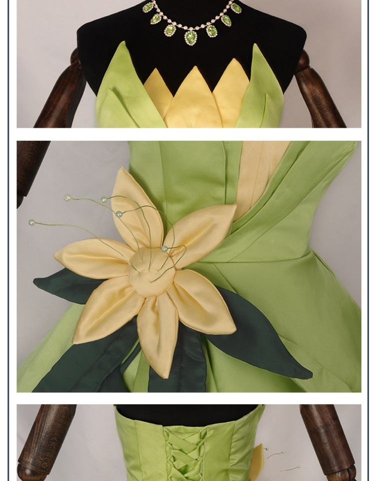 Princess Tiana Dress Cosplay C - огляд і ціна Women Accessories Wholesale