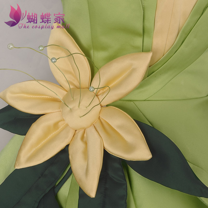 Princess Tiana Dress Cosplay C - огляд і ціна Women Accessories Wholesale